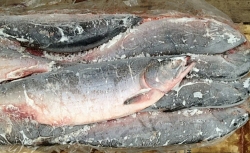 Горбуша икряная непотрошенная
