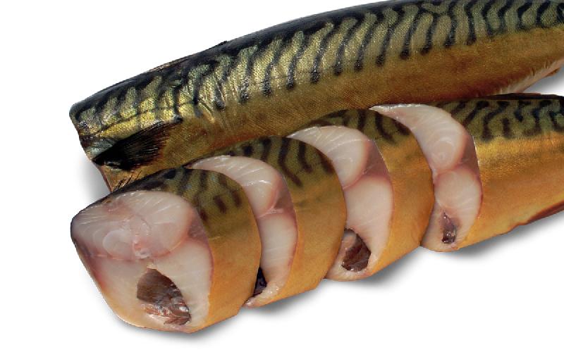 Скумбрия х/к без головы