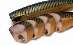 Скумбрия х/к без головы